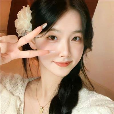 海豚的故事2 海报
