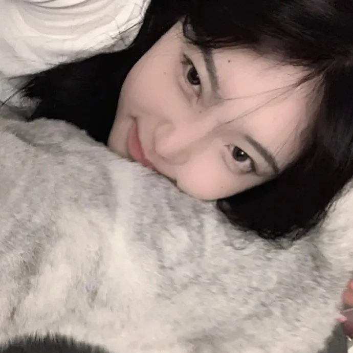 银都百美 海报